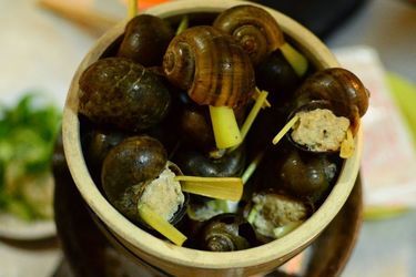 Ốc bươu nhồi thịt