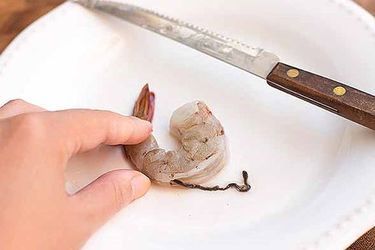 Chỉ tôm là gì?