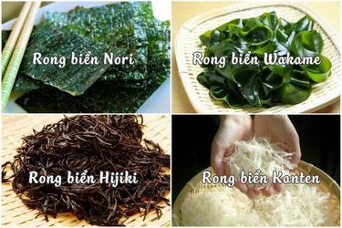 Rong biển là gì và những thông tin hữu ích về loại siêu thực phẩm này