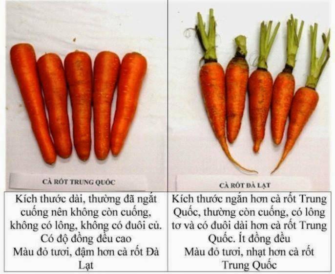 phân biệt cà rốt trung quốc